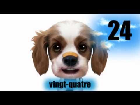 [French for beginners] The numbers # 20-30